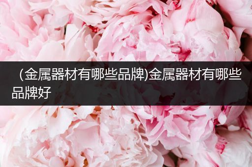 （金属器材有哪些品牌)金属器材有哪些品牌好