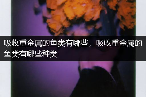吸收重金属的鱼类有哪些，吸收重金属的鱼类有哪些种类