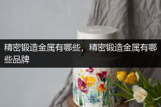 精密锻造金属有哪些，精密锻造金属有哪些品牌