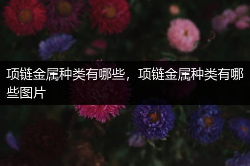 项链金属种类有哪些，项链金属种类有哪些图片