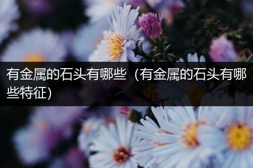 有金属的石头有哪些（有金属的石头有哪些特征）