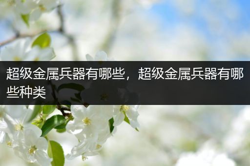 超级金属兵器有哪些，超级金属兵器有哪些种类