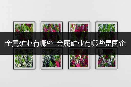 金属矿业有哪些-金属矿业有哪些是国企