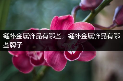 缝补金属饰品有哪些，缝补金属饰品有哪些牌子