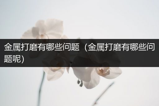 金属打磨有哪些问题（金属打磨有哪些问题呢）
