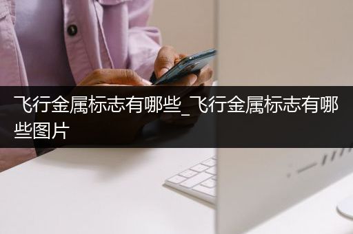 飞行金属标志有哪些_飞行金属标志有哪些图片