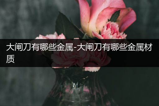 大闸刀有哪些金属-大闸刀有哪些金属材质