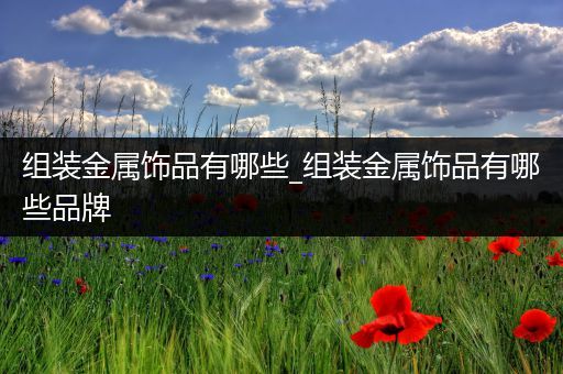 组装金属饰品有哪些_组装金属饰品有哪些品牌