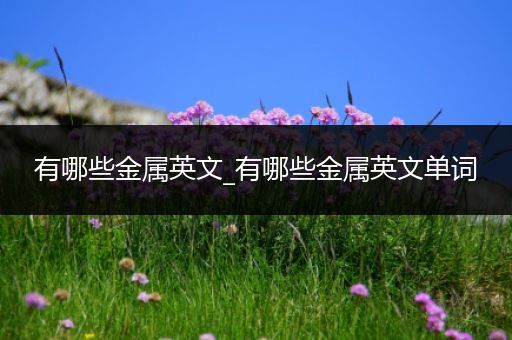 有哪些金属英文_有哪些金属英文单词