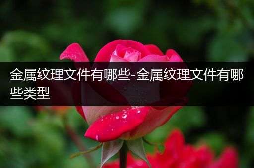 金属纹理文件有哪些-金属纹理文件有哪些类型