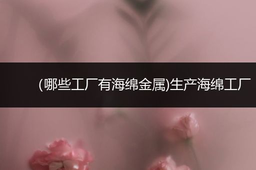（哪些工厂有海绵金属)生产海绵工厂