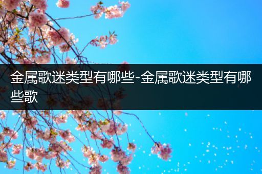 金属歌迷类型有哪些-金属歌迷类型有哪些歌
