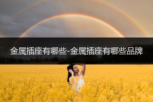 金属插座有哪些-金属插座有哪些品牌