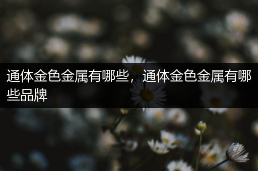 通体金色金属有哪些，通体金色金属有哪些品牌