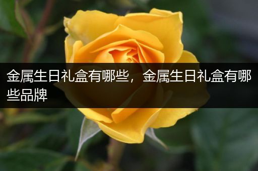 金属生日礼盒有哪些，金属生日礼盒有哪些品牌
