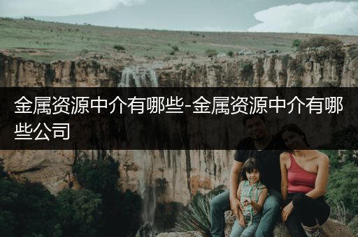 金属资源中介有哪些-金属资源中介有哪些公司