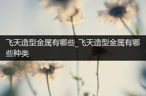 飞天造型金属有哪些_飞天造型金属有哪些种类