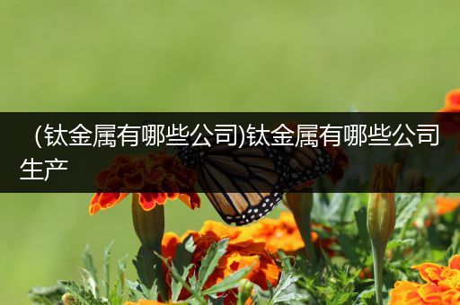 （钛金属有哪些公司)钛金属有哪些公司生产