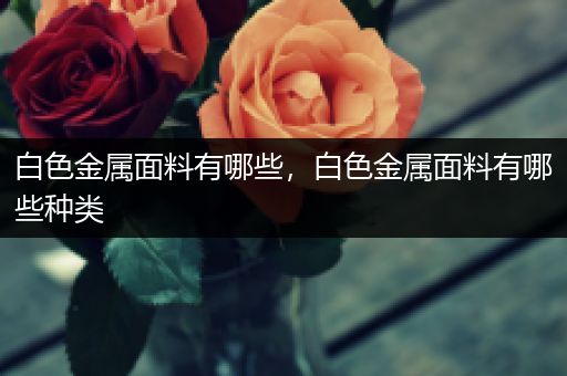 白色金属面料有哪些，白色金属面料有哪些种类