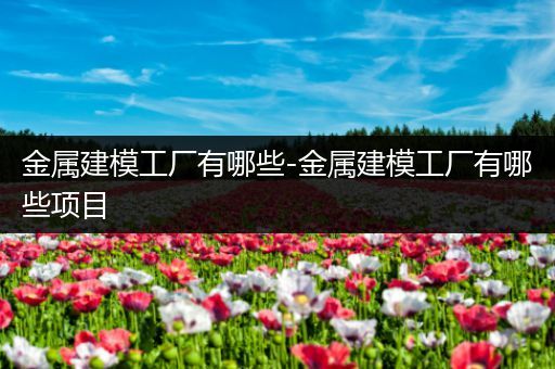 金属建模工厂有哪些-金属建模工厂有哪些项目
