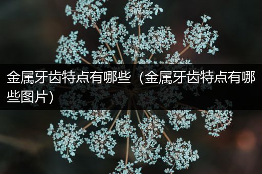 金属牙齿特点有哪些（金属牙齿特点有哪些图片）