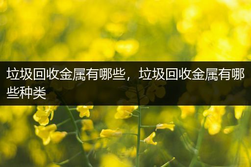 垃圾回收金属有哪些，垃圾回收金属有哪些种类