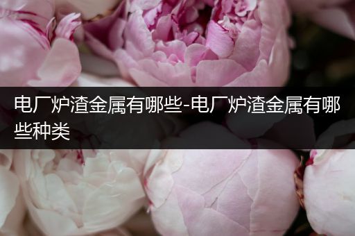 电厂炉渣金属有哪些-电厂炉渣金属有哪些种类