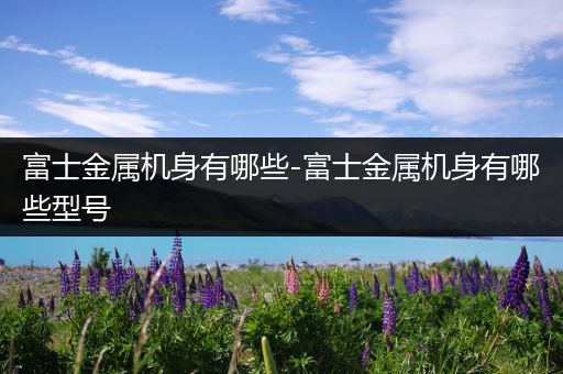 富士金属机身有哪些-富士金属机身有哪些型号