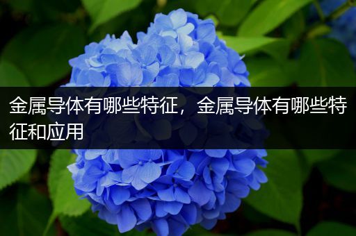 金属导体有哪些特征，金属导体有哪些特征和应用