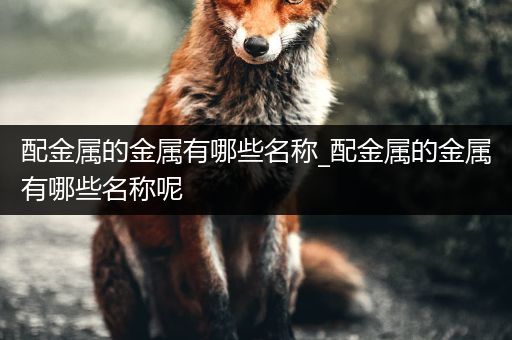 配金属的金属有哪些名称_配金属的金属有哪些名称呢