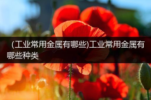 （工业常用金属有哪些)工业常用金属有哪些种类