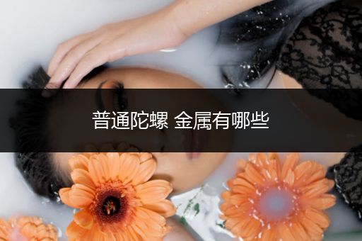 普通陀螺 金属有哪些
