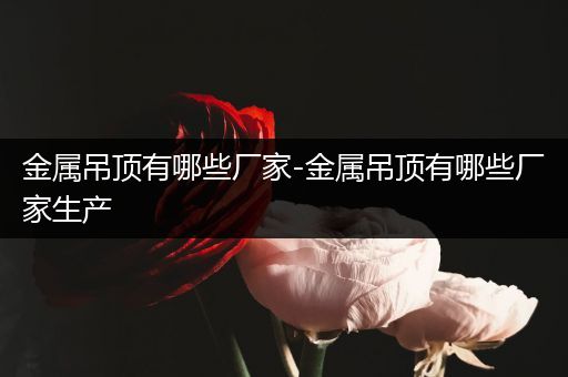 金属吊顶有哪些厂家-金属吊顶有哪些厂家生产