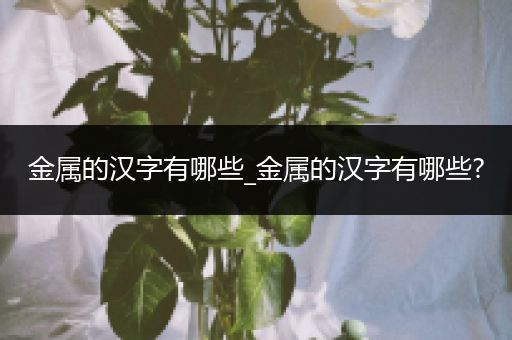 金属的汉字有哪些_金属的汉字有哪些?