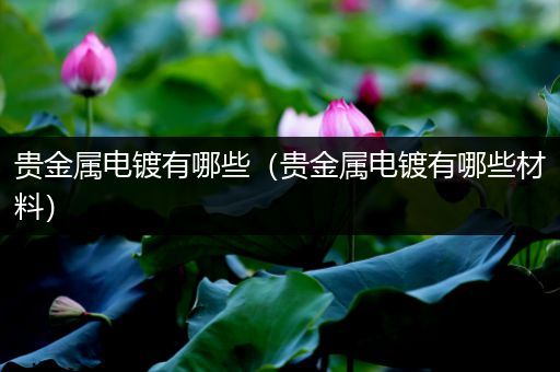 贵金属电镀有哪些（贵金属电镀有哪些材料）
