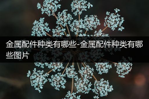 金属配件种类有哪些-金属配件种类有哪些图片
