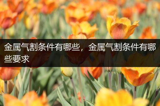金属气割条件有哪些，金属气割条件有哪些要求
