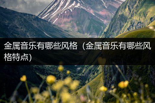 金属音乐有哪些风格（金属音乐有哪些风格特点）