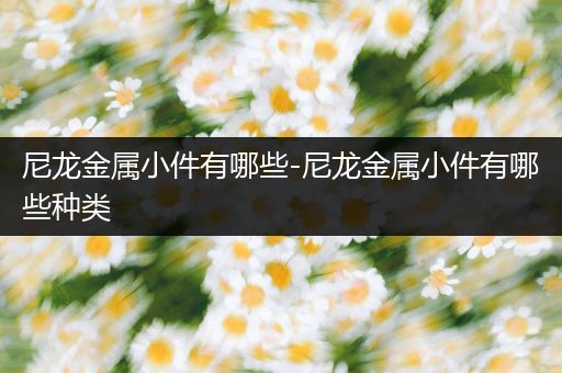 尼龙金属小件有哪些-尼龙金属小件有哪些种类