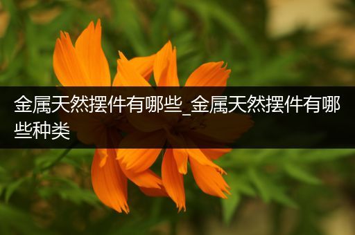 金属天然摆件有哪些_金属天然摆件有哪些种类