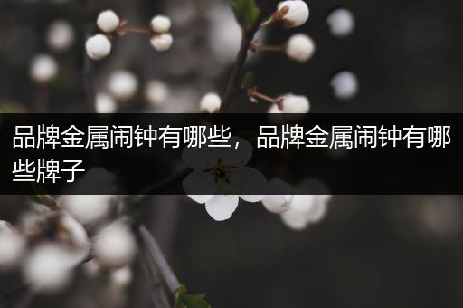 品牌金属闹钟有哪些，品牌金属闹钟有哪些牌子