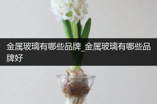 金属玻璃有哪些品牌_金属玻璃有哪些品牌好