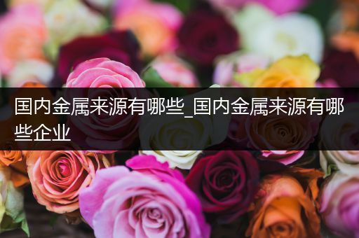 国内金属来源有哪些_国内金属来源有哪些企业