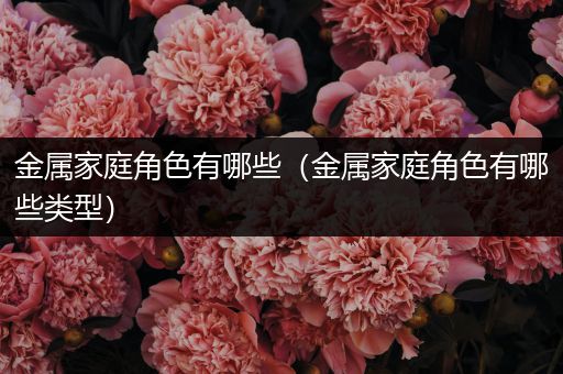 金属家庭角色有哪些（金属家庭角色有哪些类型）