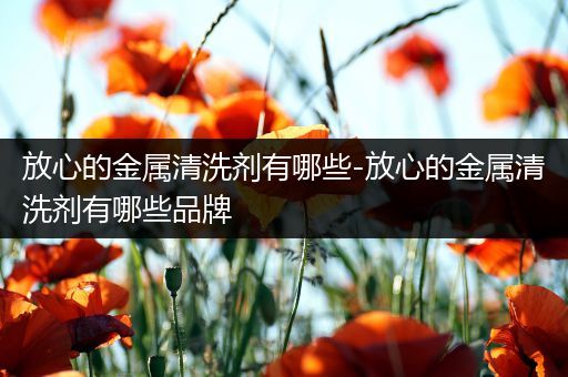 放心的金属清洗剂有哪些-放心的金属清洗剂有哪些品牌