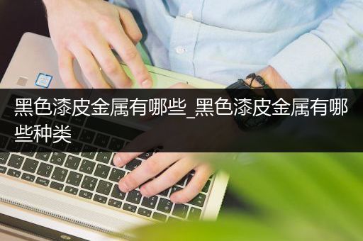 黑色漆皮金属有哪些_黑色漆皮金属有哪些种类