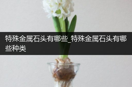 特殊金属石头有哪些_特殊金属石头有哪些种类