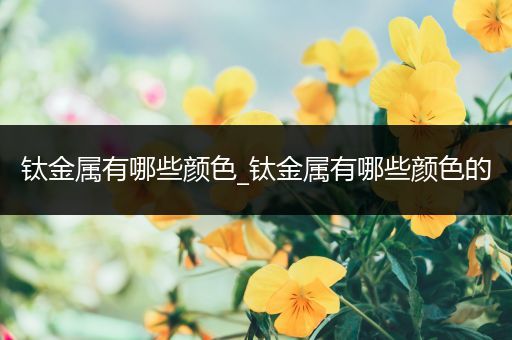 钛金属有哪些颜色_钛金属有哪些颜色的