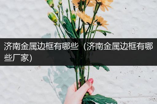 济南金属边框有哪些（济南金属边框有哪些厂家）