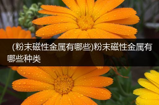 （粉末磁性金属有哪些)粉末磁性金属有哪些种类